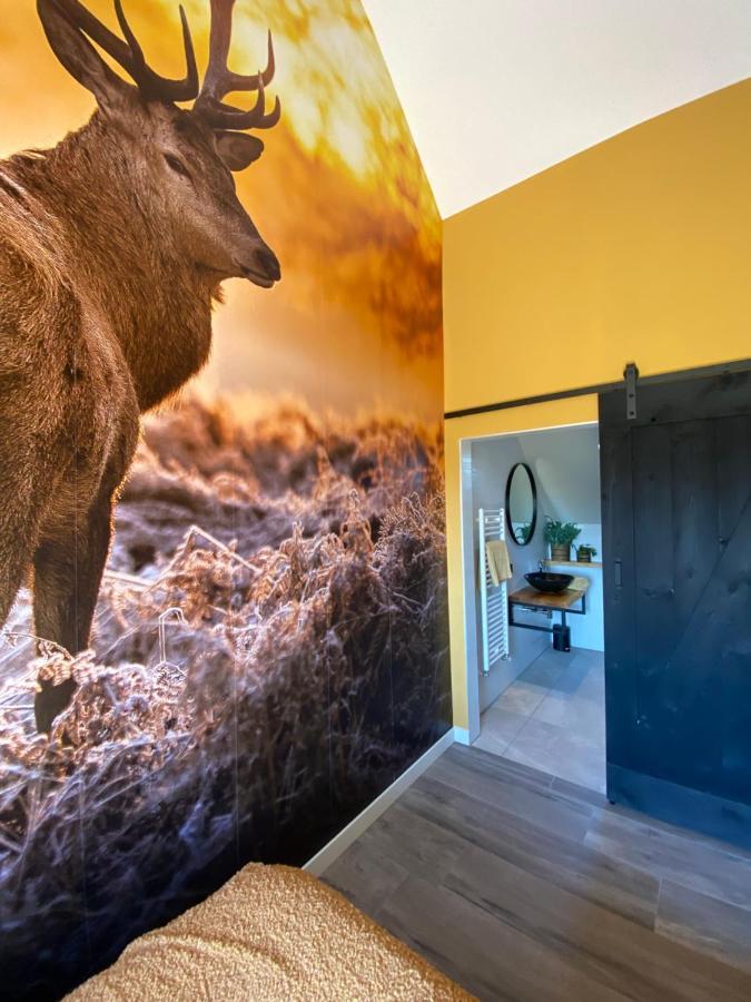 Lage Mierde Domestico Bed & Breakfast מראה חיצוני תמונה